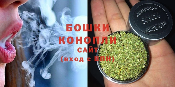спайс Белокуриха