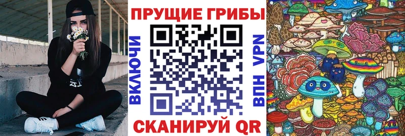 Галлюциногенные грибы Magic Shrooms Верхняя Пышма