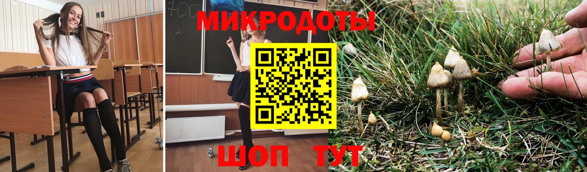 Галлюциногенные грибы Magic Shrooms Верхняя Пышма