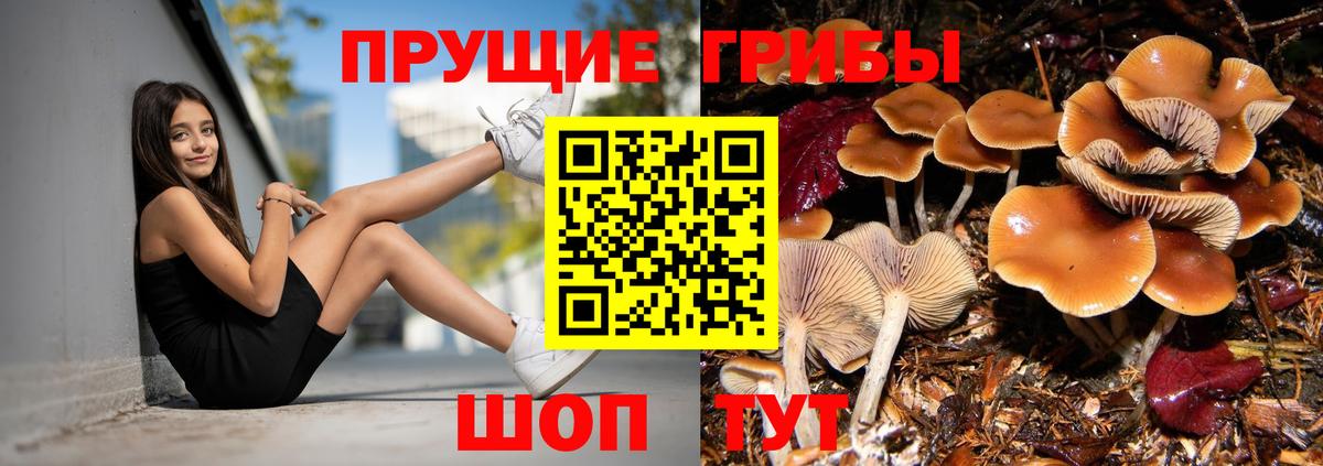 Верхняя Пышма  Псилоцибиновые грибы MAGIC MUSHROOMS  магазин    Вход с VPN 